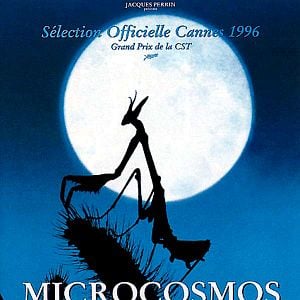Foto Microcosmos