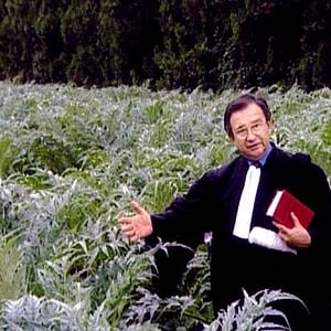 Foto Los espigadores y la espigadora