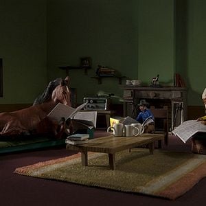 Foto Pánico en la granja