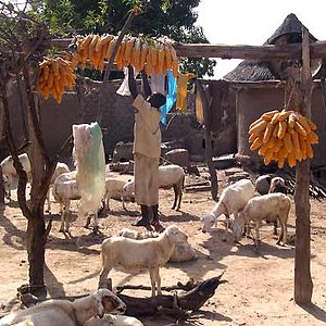 Foto Christian Zerbib