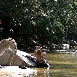 Foto Los viajes del viento