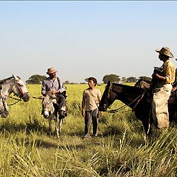 Foto Los viajes del viento