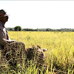 Foto Los viajes del viento