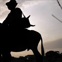 Foto Los viajes del viento