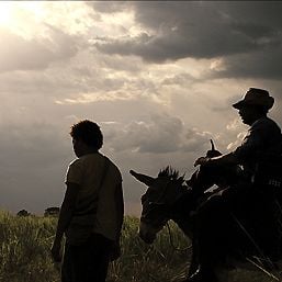 Foto Los viajes del viento
