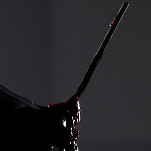 Foto Jean-Marc Vincent