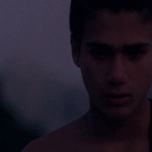 Foto La baie du renard