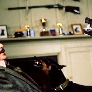 Foto Los niños del Brasil