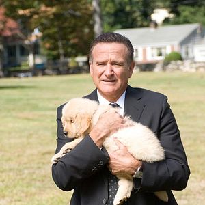 Foto Dos canguros muy maduros