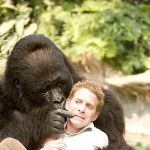 Foto Dos canguros muy maduros