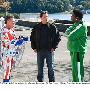 Foto Dos canguros muy maduros