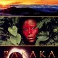 Foto Baraka