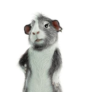 Foto G-Force: Licencia para espiar