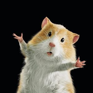 Foto G-Force: Licencia para espiar