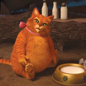 Foto Shrek. Felices para siempre