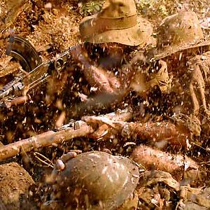 Foto Alister Grierson