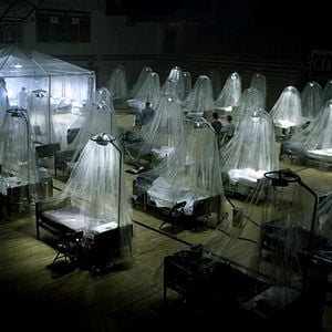 Foto Infectados (Carriers)