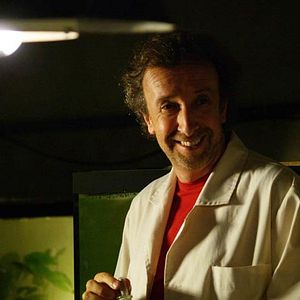 Foto Pájaros muertos