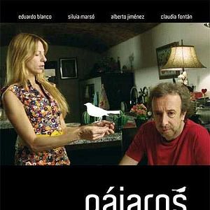 Foto Pájaros muertos