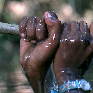 Foto Philippe Van Leeuw