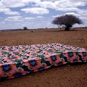 Foto Viajo Porque Preciso, Volto Porque Te Amo