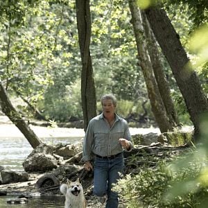 Foto Siempre a tu lado. Hachiko