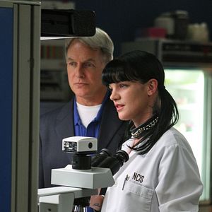 Foto Pauley Perrette