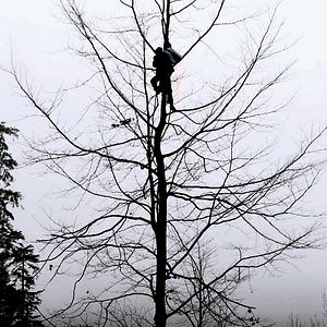 Foto Andrew Kötting