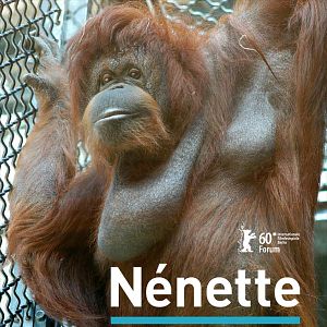 Foto Nicolas Philibert