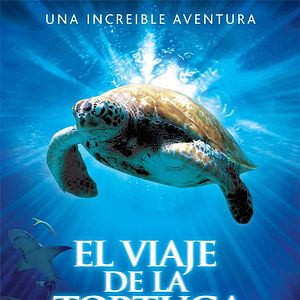 Foto El viaje de la tortuga