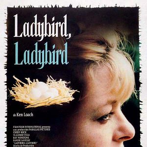 Foto Ladybird, Ladybird