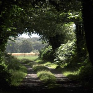 Foto Dominique Marchais