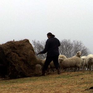 Foto Dominique Marchais