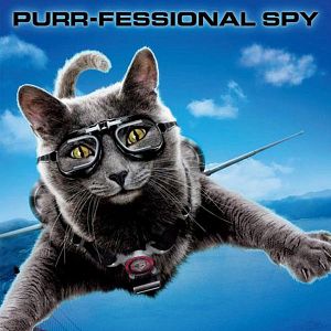 Foto Como perros y gatos: La revancha de Kitty Galore