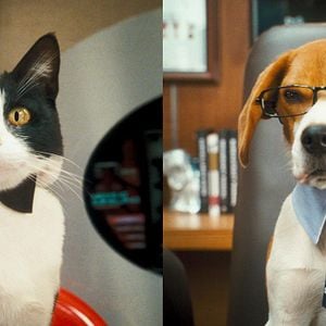 Foto Como perros y gatos: La revancha de Kitty Galore