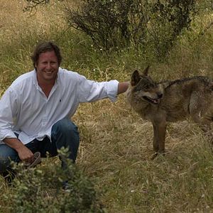 Foto Entre lobos