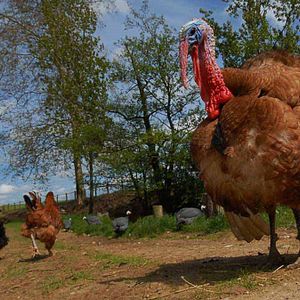 Foto Frédéric Goupil