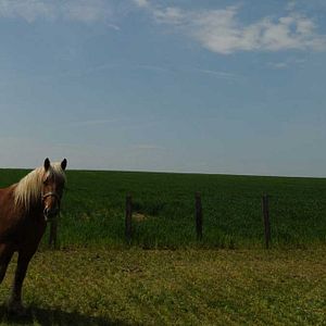 Foto Frédéric Goupil