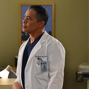 Foto Anatomía de Grey