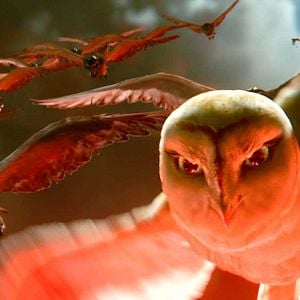 Foto Ga'Hoole. La leyenda de los guardianes