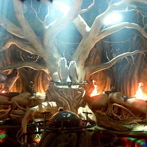 Foto Ga'Hoole. La leyenda de los guardianes