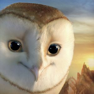 Foto Ga'Hoole. La leyenda de los guardianes