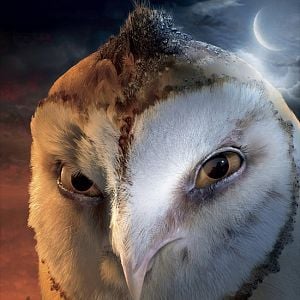 Foto Ga'Hoole. La leyenda de los guardianes