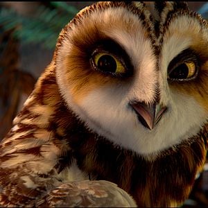 Foto Ga'Hoole. La leyenda de los guardianes