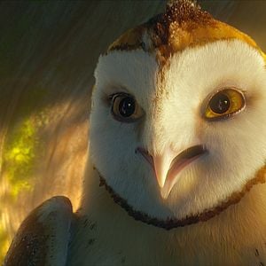 Foto Ga'Hoole. La leyenda de los guardianes