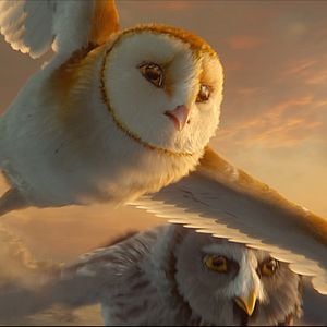 Foto Ga'Hoole. La leyenda de los guardianes