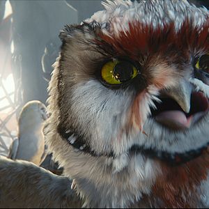 Foto Ga'Hoole. La leyenda de los guardianes