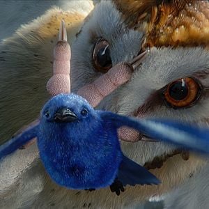 Foto Ga'Hoole. La leyenda de los guardianes