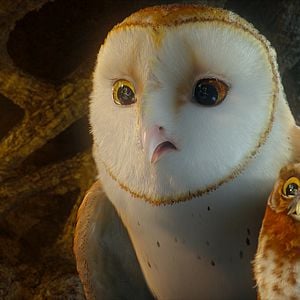 Foto Ga'Hoole. La leyenda de los guardianes