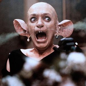 Foto La maldición de las brujas